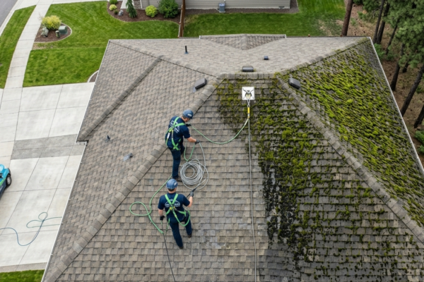 Moss And Algae Cleaning in Spokane, WA